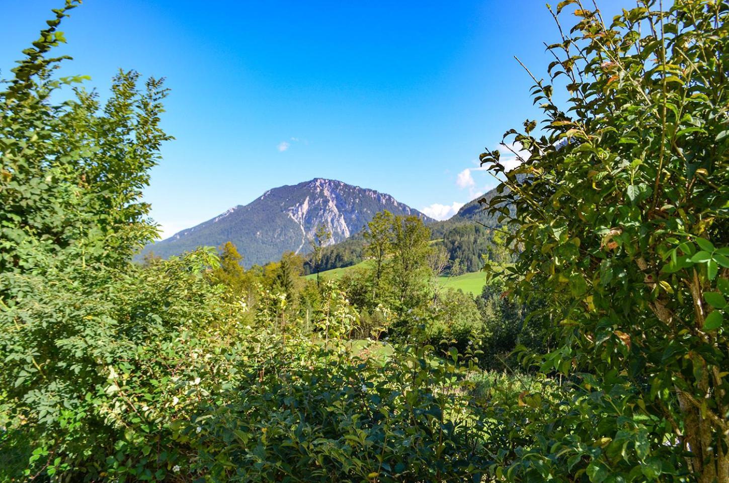 Ferienwohnung Almbauernhof Ruhpolding Exterior foto