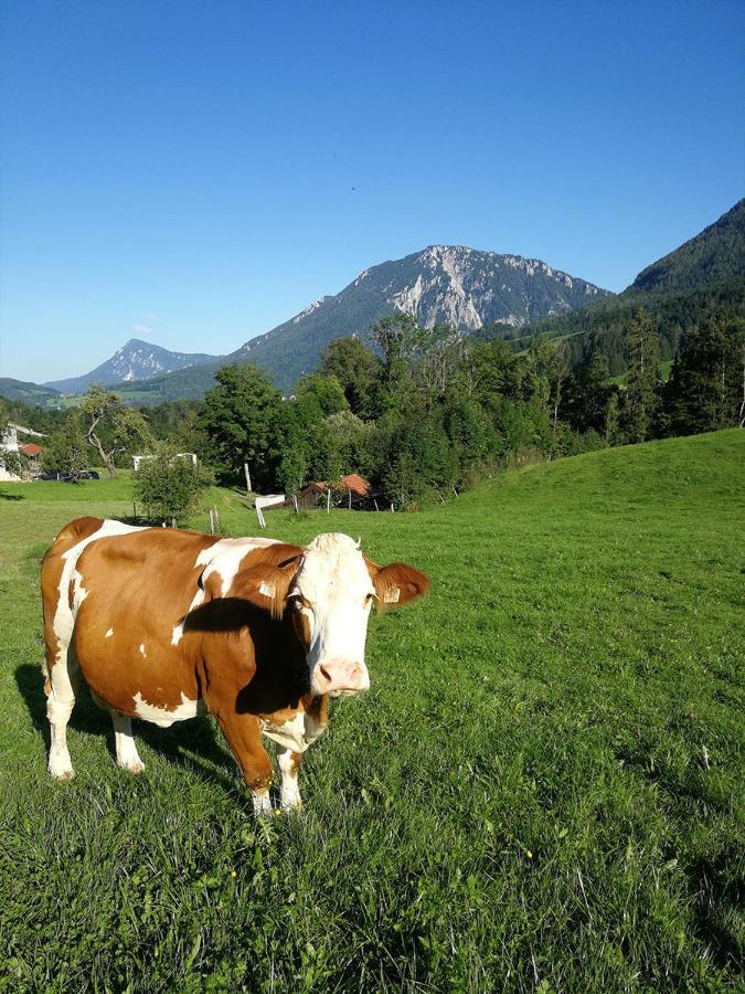 Ferienwohnung Almbauernhof Ruhpolding Exterior foto